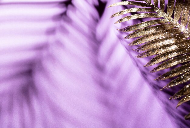 Palm leaves and shadows on a color wall background