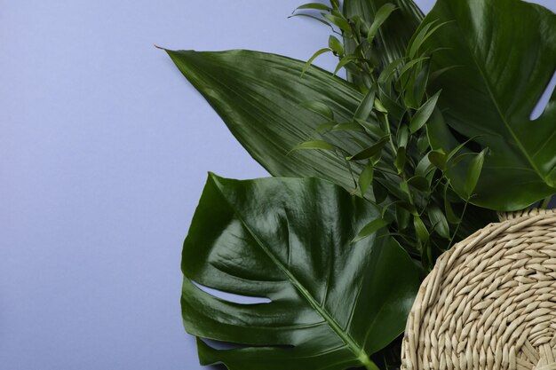 Palm leaves and straw bag on violet isolated background