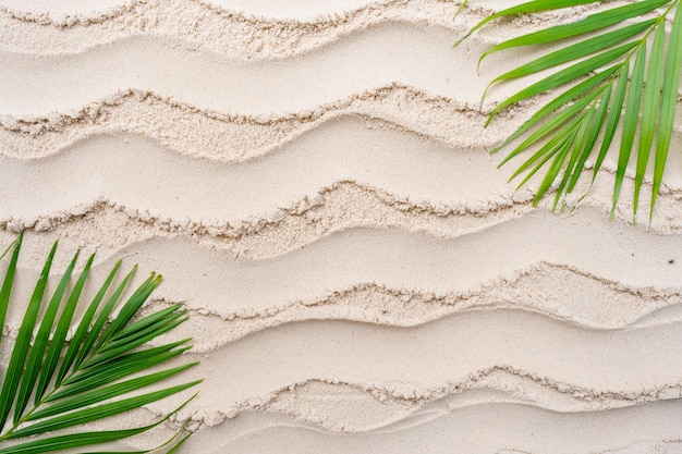 Palm leaves on wavy sand beach background.