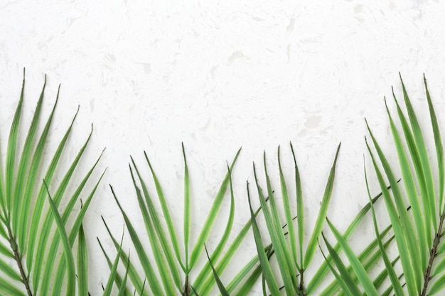 Palm leaves on white quartz countertop background