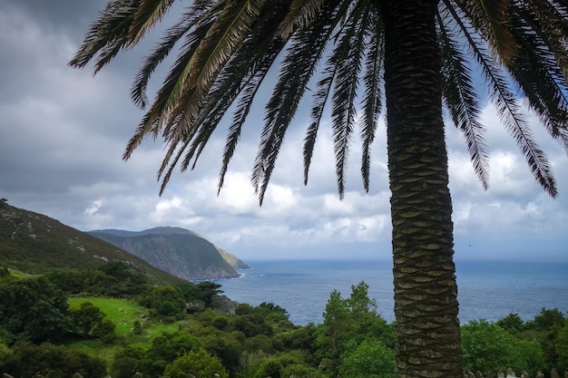 Palm Oceaan en kliffen in Galicië Spanje