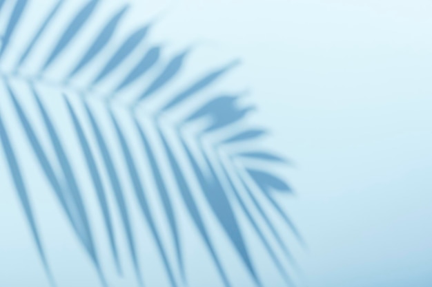 palm shadow on an empty blue wall tropical sunny background for presentation of beauty products spa