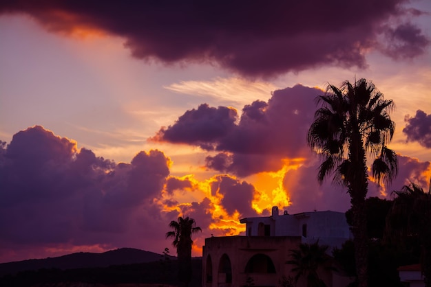 Palm silhouette under a cloudy sky at sunset in Sardinia Italy