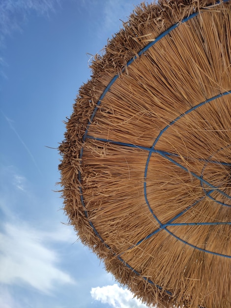 palm straw roof beach umbrella