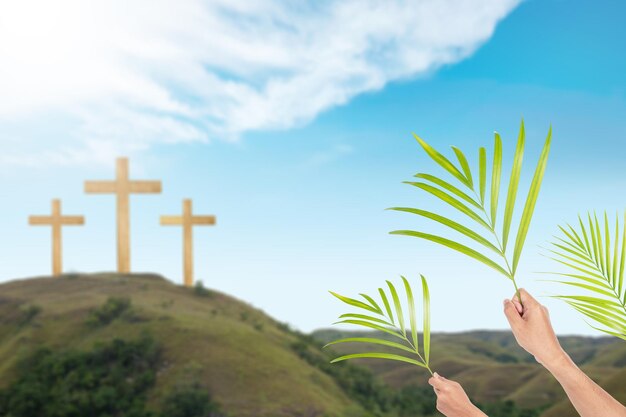 Palm Sunday