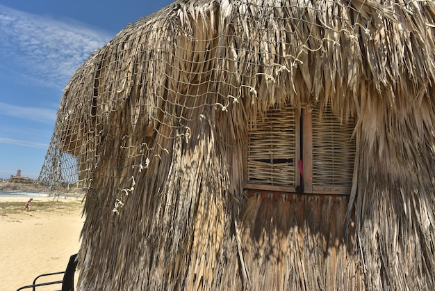 Photo palm thatched palapa hut on beach in baja mexico