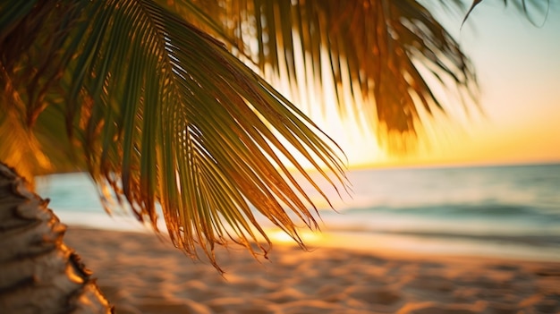 A palm tree on a beach with the sun setting behind it