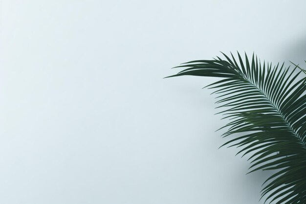 A palm tree on a blue background