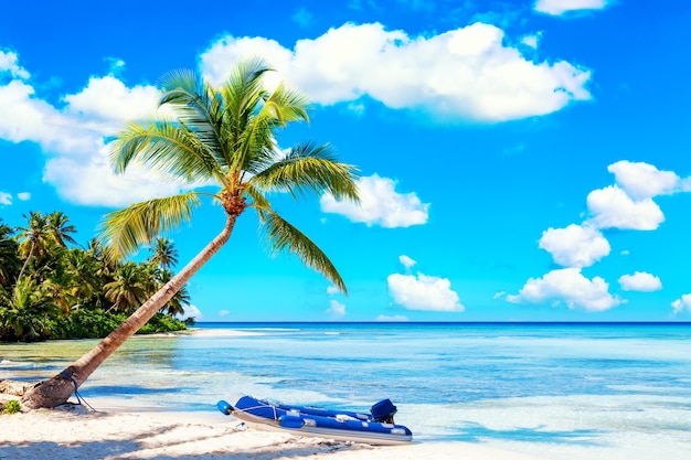 고무 보트와 함께 카리브 열 대 해변에 야자수. Saona 섬, 도미니카 공화국. 휴가 여행 배경입니다.