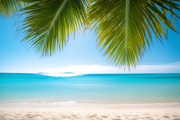 A palm tree hangs over the beach