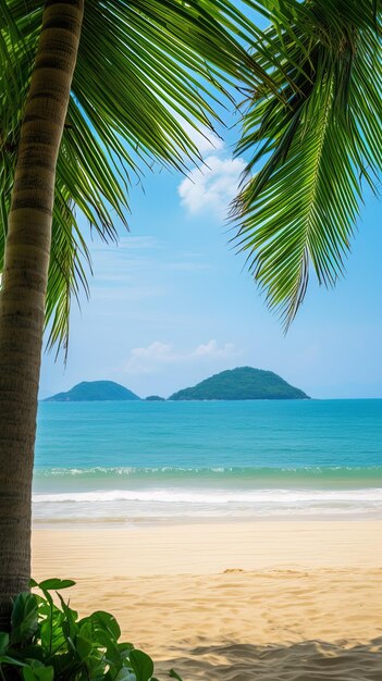 a palm tree is in front of a beach with a mountain in the background