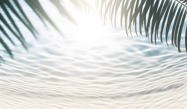 A palm tree is reflected in the water