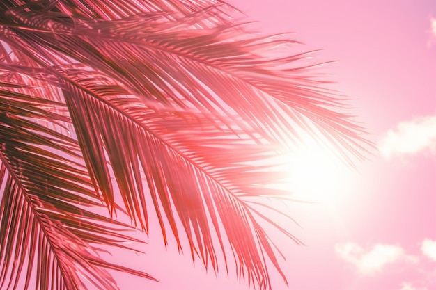 A palm tree is shown in the background with the colors of pink