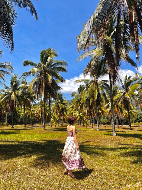 Palm tree landscape and girl