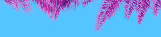 Palm tree leaves against blue sky background Horizontal banner