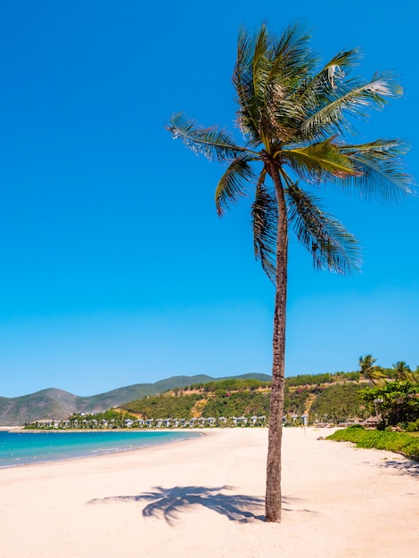 Фото Пальма на пляже с островом позади. роскошный курорт для летнего отдыха