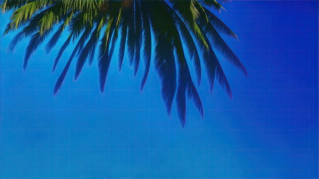 Palm tree shadow on a Blue water