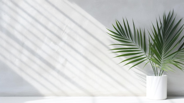 Photo palm tree and the shadow on a white wall in the morning