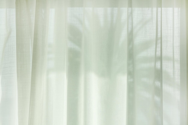 Palm tree silhouette through the curtains of the room window