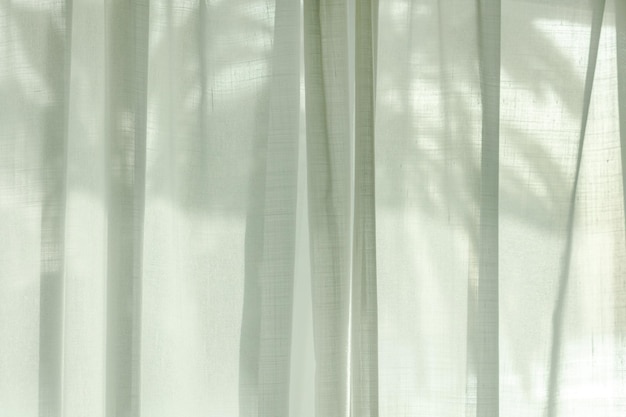 Palm tree silhouette through the curtains of the room window