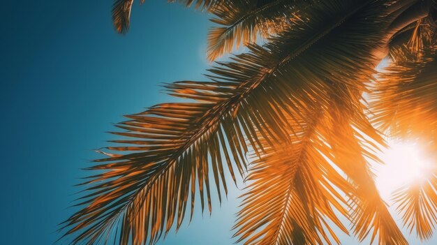 Palm tree sunny background Illustration AI GenerativexA