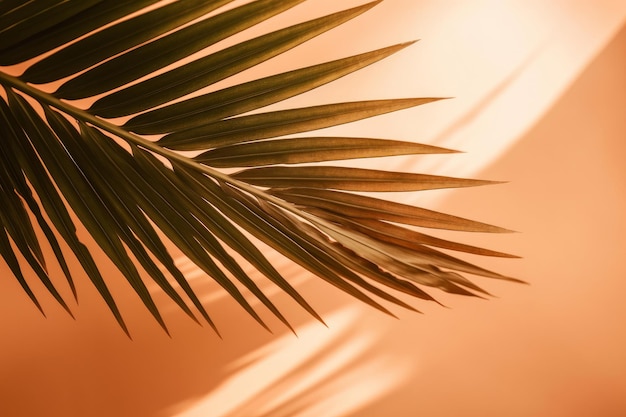 Palm tree sunny background Illustration AI GenerativexA