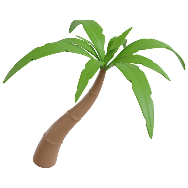 A palm tree with green leaves and a stem with a white background.