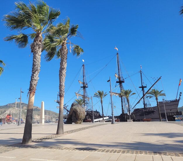 Palm trees against clear blue sky