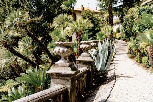 Palm trees and agaves grow along a path in the garden villa monastero italy