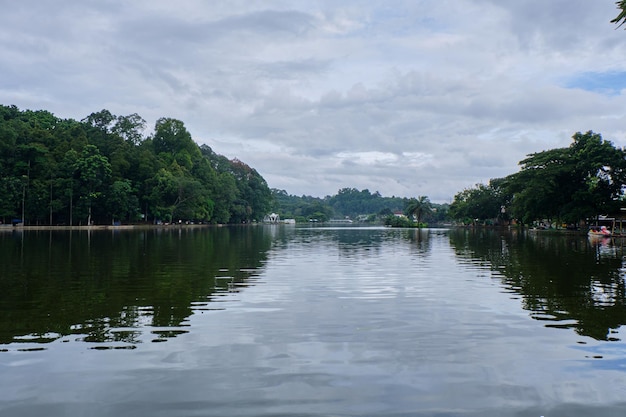 Palm trees are in the middle of an artificial lake