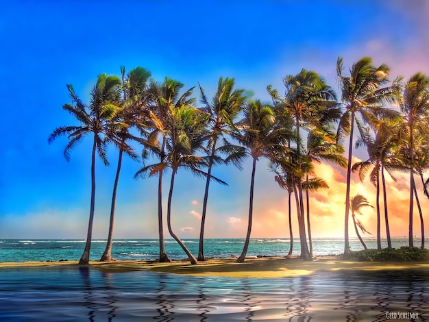 Palm trees on beach against clear blue sky