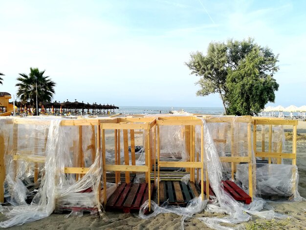 Foto palme sulla spiaggia contro il cielo