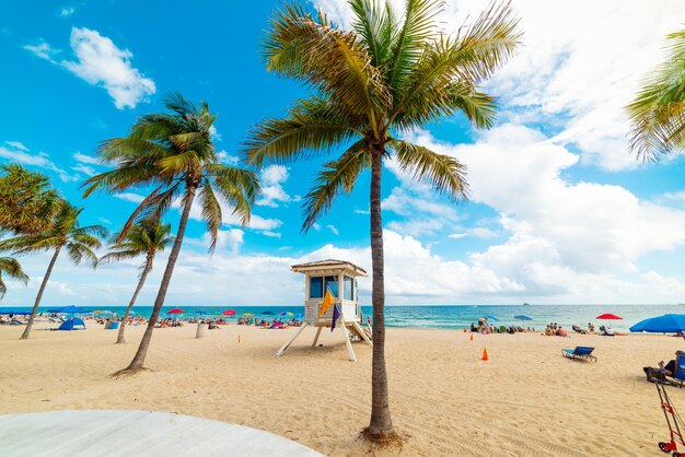 Palm trees on beach against sky