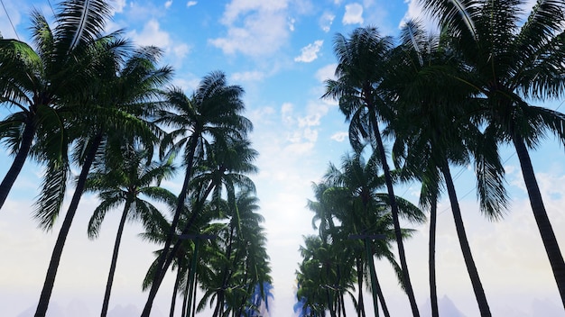 Palm trees on a beach with the sun shining on them