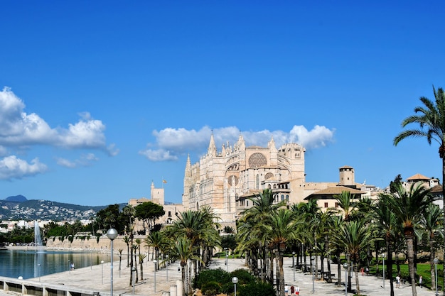 Palm trees and buildings against blue sky