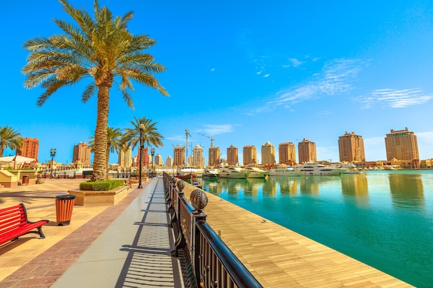 Palm trees by swimming pool against sky in city