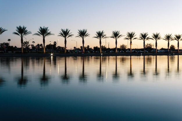 Palm trees by swimming pool against sky