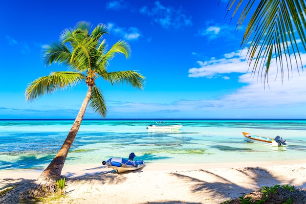 Palm trees on the caribbean tropical beach with boats. Saona Island, Dominican Republic. Vacation travel background.