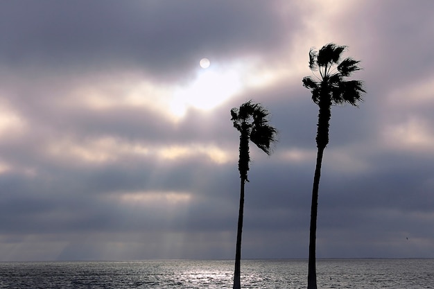 Palm trees and colorful sky with beautiful sunset