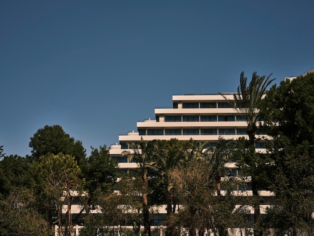 Palm trees and a luxury hotel