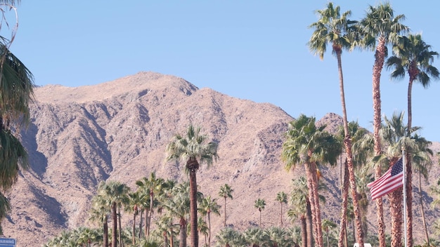 Palm trees and mountains palm springs california desert valley oasis flora usa