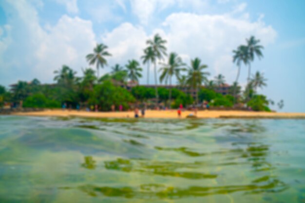 Palm trees on the ocean coast. 