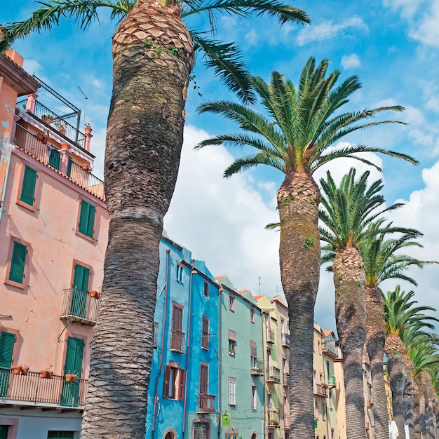 Palm trees and old buildings in Bosa