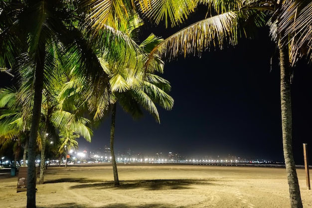 Пальмовые деревья на песке города Сантос, пляж Сан-Паулу, Бразилия, ночью