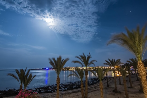 Palm trees on a sandy beach and many lights in a resort on vacation