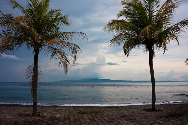 バリ島インドネシアの夕日の海岸のヤシの木