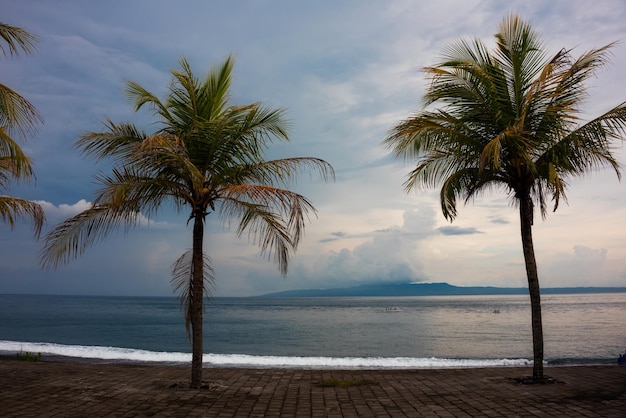 Palm trees on sea coast on sunset on Bali island Indonesia