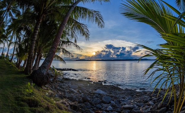 palm trees on sea shore against sky during sunset