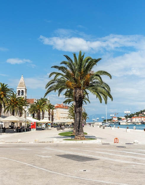 Photo palm trees on seafront promenade in trogir croatia