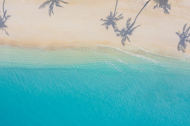 上から砂浜とターコイズブルーの海に椰子の木が影を落とす素晴らしい夏の自然の風景